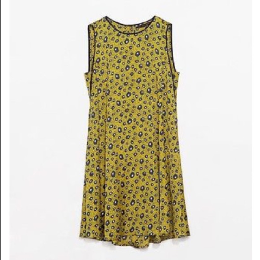 Zara Polka dot Print Sleeveless Dress